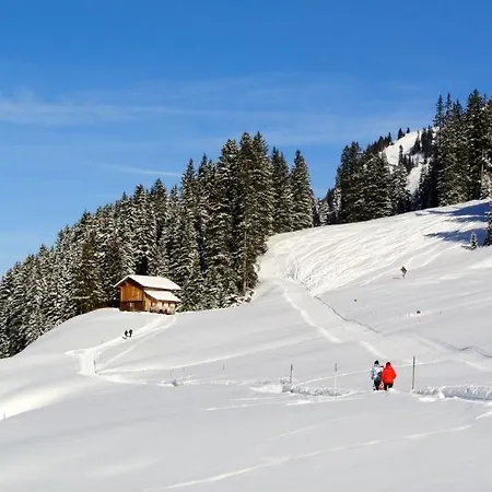 Schneekristall Daire Lech am Arlberg